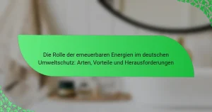 Die Rolle der erneuerbaren Energien im deutschen Umweltschutz: Arten, Vorteile und Herausforderungen
