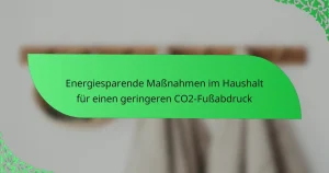 Energiesparende Maßnahmen im Haushalt für einen geringeren CO2-Fußabdruck