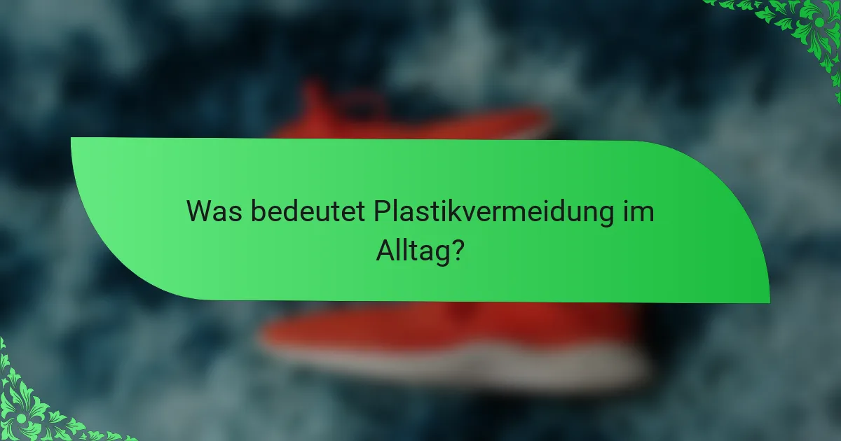 Was bedeutet Plastikvermeidung im Alltag?