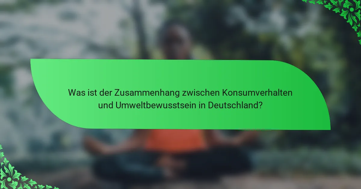 Was ist der Zusammenhang zwischen Konsumverhalten und Umweltbewusstsein in Deutschland?