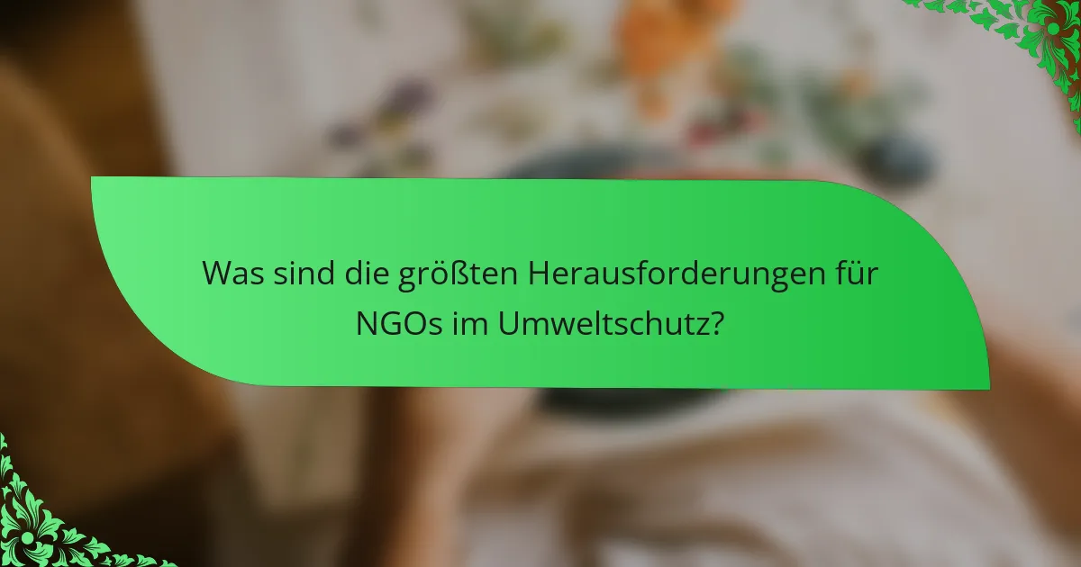 Was sind die größten Herausforderungen für NGOs im Umweltschutz?