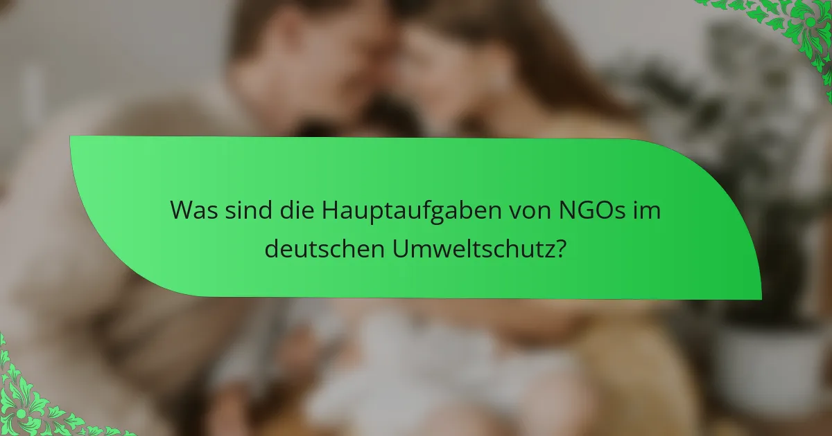 Was sind die Hauptaufgaben von NGOs im deutschen Umweltschutz?