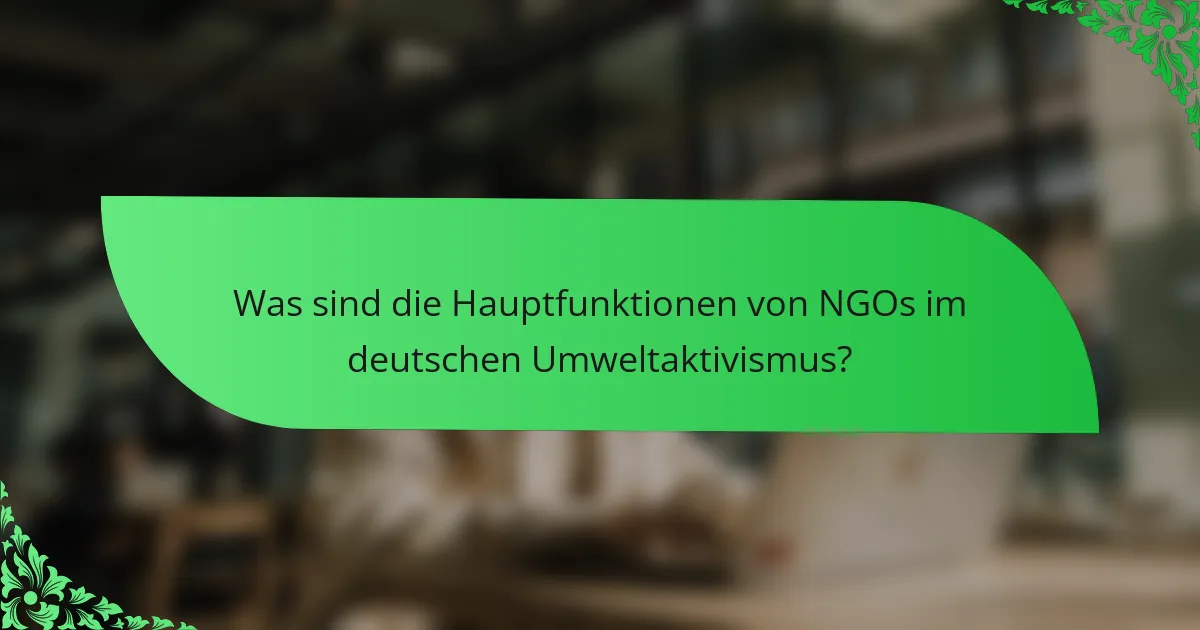 Was sind die Hauptfunktionen von NGOs im deutschen Umweltaktivismus?