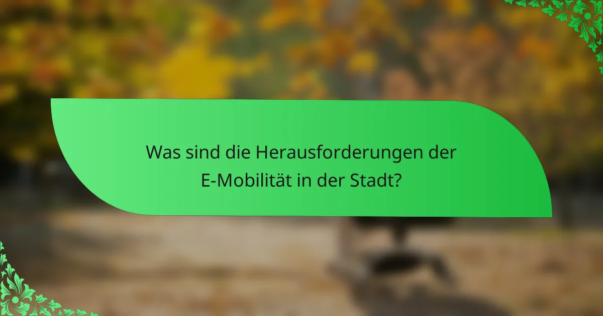 Was sind die Herausforderungen der E-Mobilität in der Stadt?