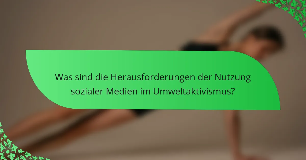 Was sind die Herausforderungen der Nutzung sozialer Medien im Umweltaktivismus?