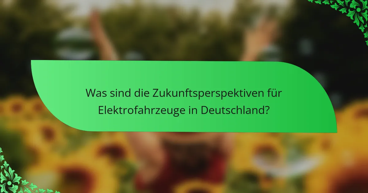Was sind die Zukunftsperspektiven für Elektrofahrzeuge in Deutschland?