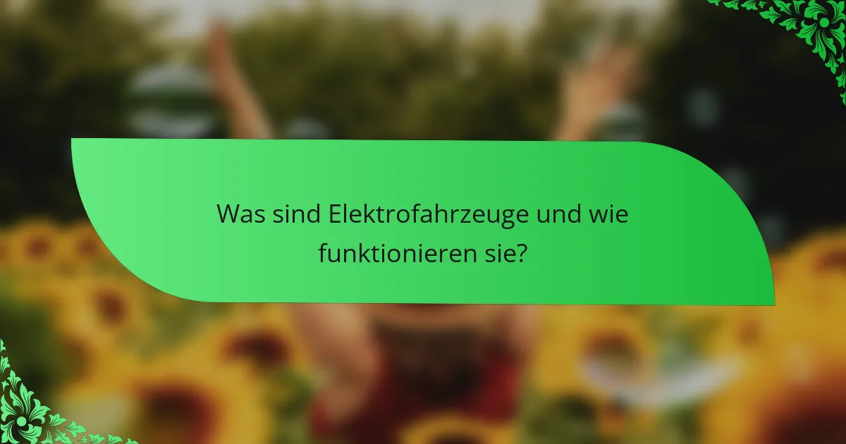 Was sind Elektrofahrzeuge und wie funktionieren sie?