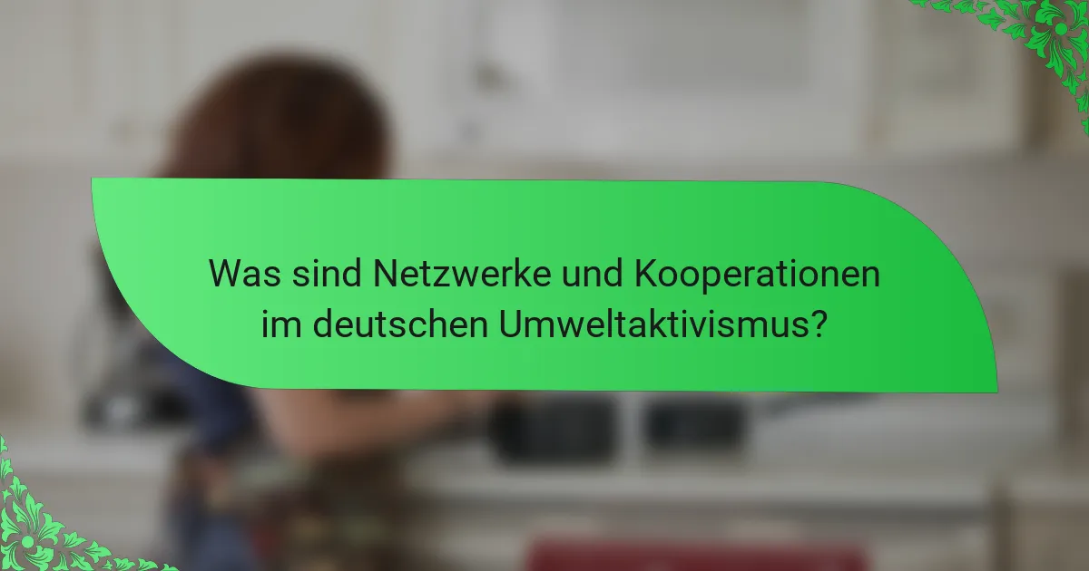 Was sind Netzwerke und Kooperationen im deutschen Umweltaktivismus?