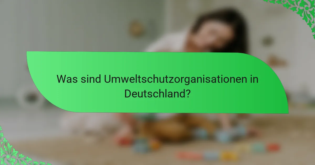 Was sind Umweltschutzorganisationen in Deutschland?