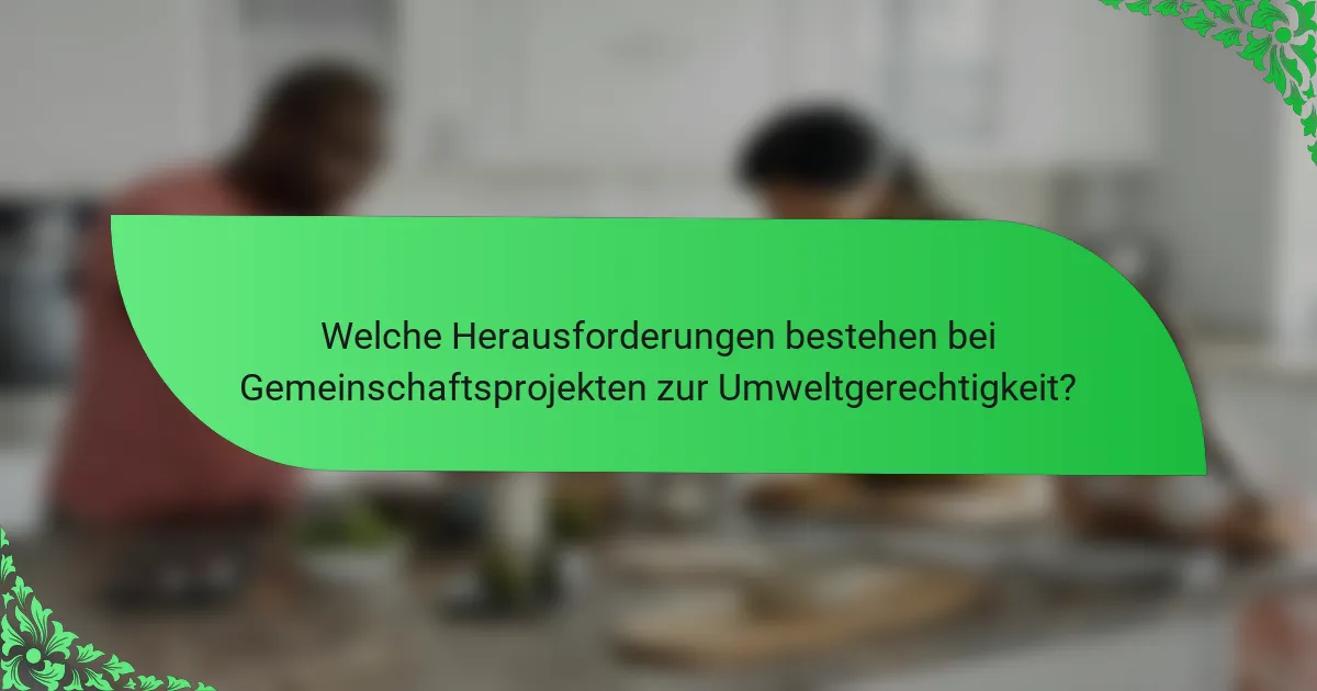 Welche Herausforderungen bestehen bei Gemeinschaftsprojekten zur Umweltgerechtigkeit?