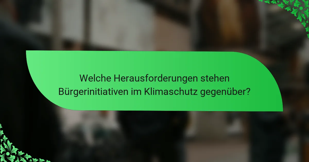 Welche Herausforderungen stehen Bürgerinitiativen im Klimaschutz gegenüber?