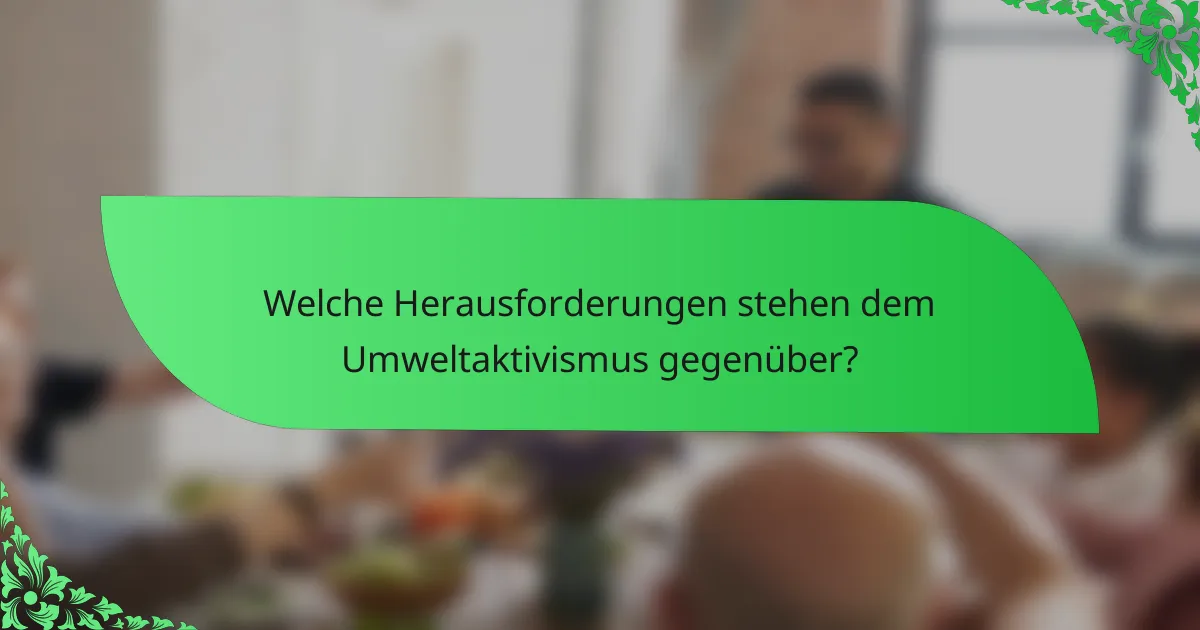 Welche Herausforderungen stehen dem Umweltaktivismus gegenüber?