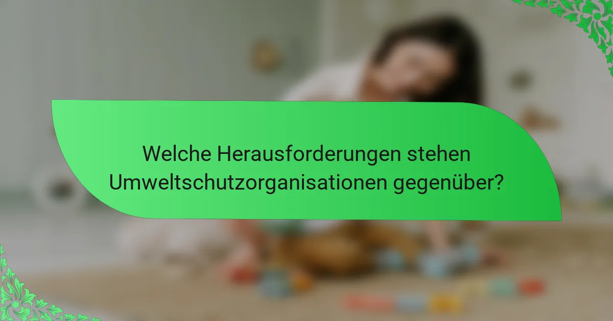 Welche Herausforderungen stehen Umweltschutzorganisationen gegenüber?
