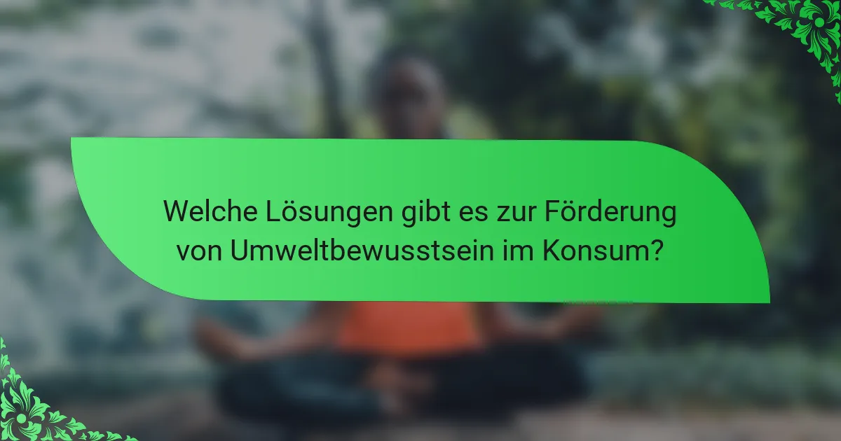 Welche Lösungen gibt es zur Förderung von Umweltbewusstsein im Konsum?