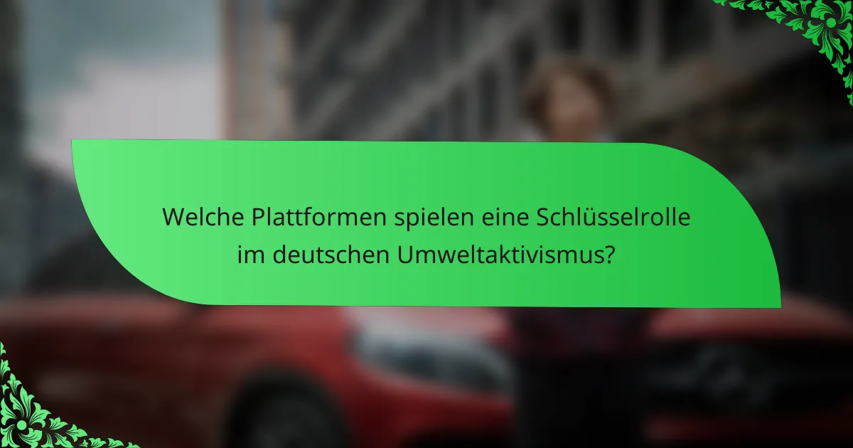 Welche Plattformen spielen eine Schlüsselrolle im deutschen Umweltaktivismus?
